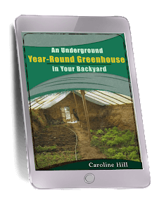 The Lost Superfoods Greenhouse in Your Backyard