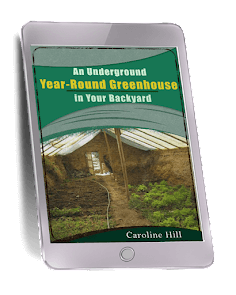 The Lost Superfoods Greenhouse in Your Backyard